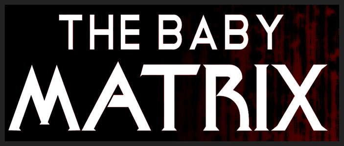 The Baby Matrix by Laura Carroll